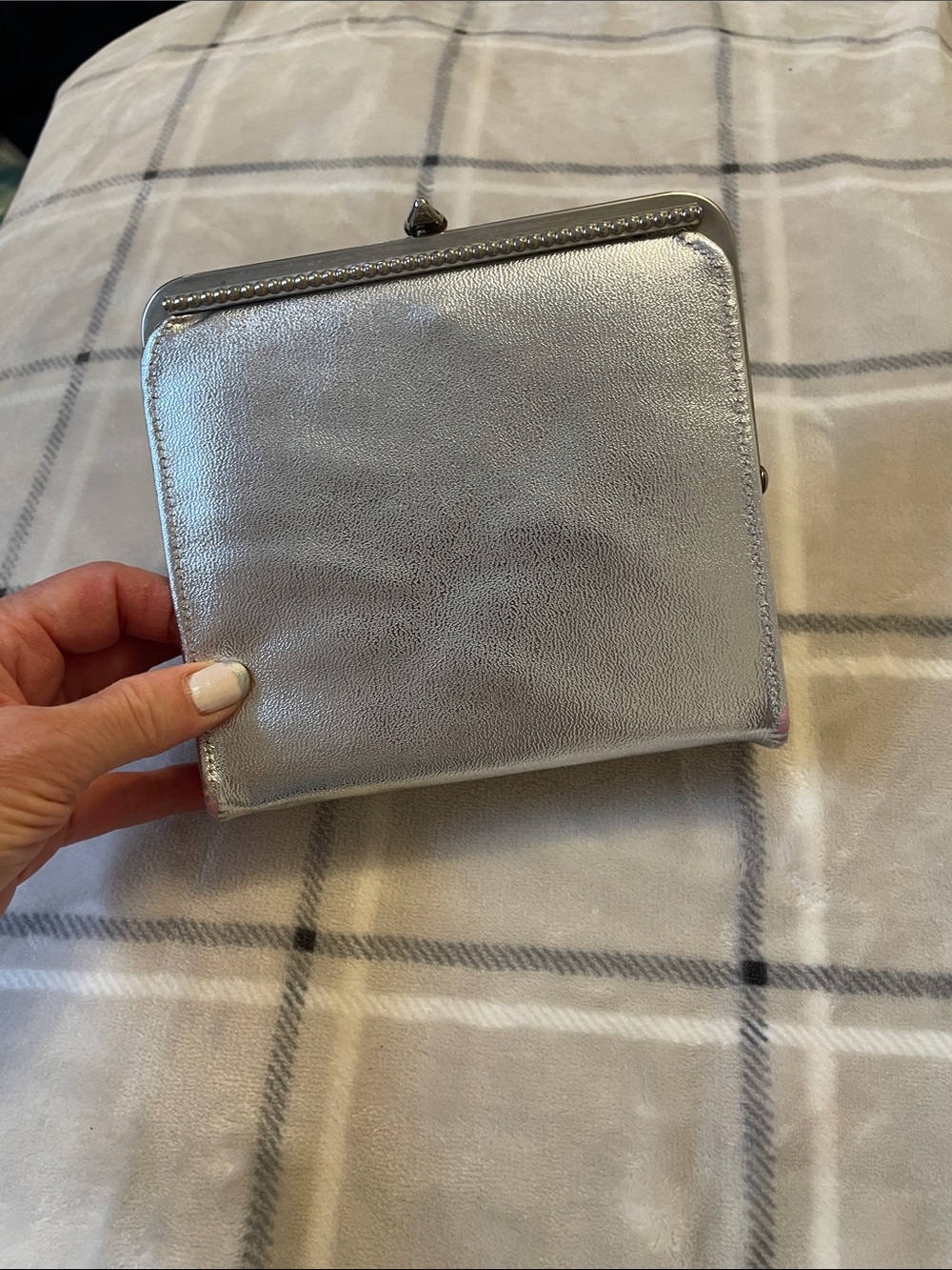 Silver Metallic Women's Wallet - Compact Clasp Design